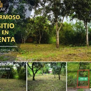 Sitio en Voluntad de Dios (La Troncal)