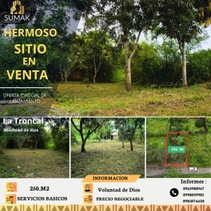 Sitio en Voluntad de Dios