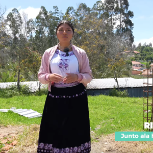 Sitio en Ricaurte (Cuenca)