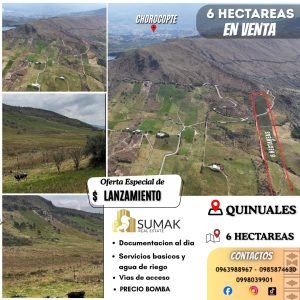 6 Hectáreas en Quinuales (Cañar)