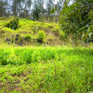 Terreno en El Descanso (Autopista Cuenca-Azogues)